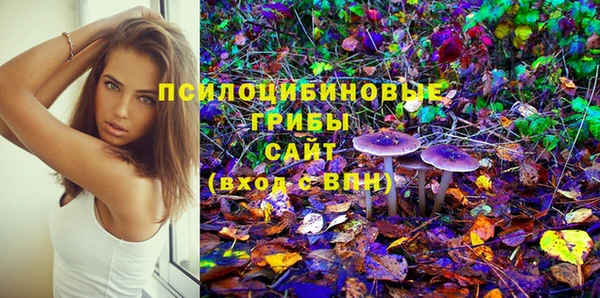 бутират Алзамай