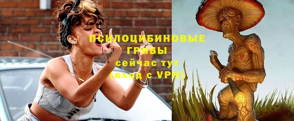 прущие грибы Алексин