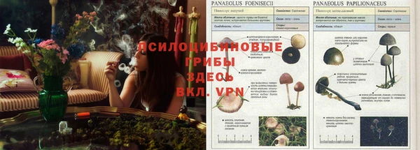 бутират Алзамай