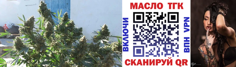 ТГК концентрат  Чадан 